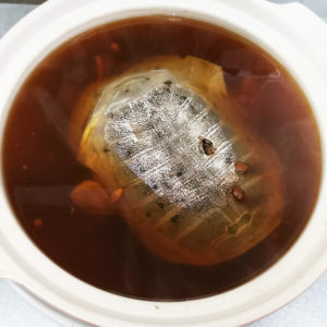 Soft-Shelled Turtle Healthy Soup (滋补甲鱼汤)
